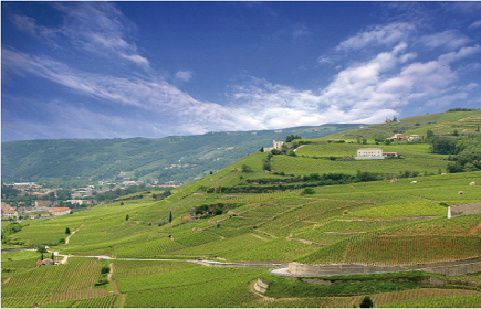 Hermitage Landscape