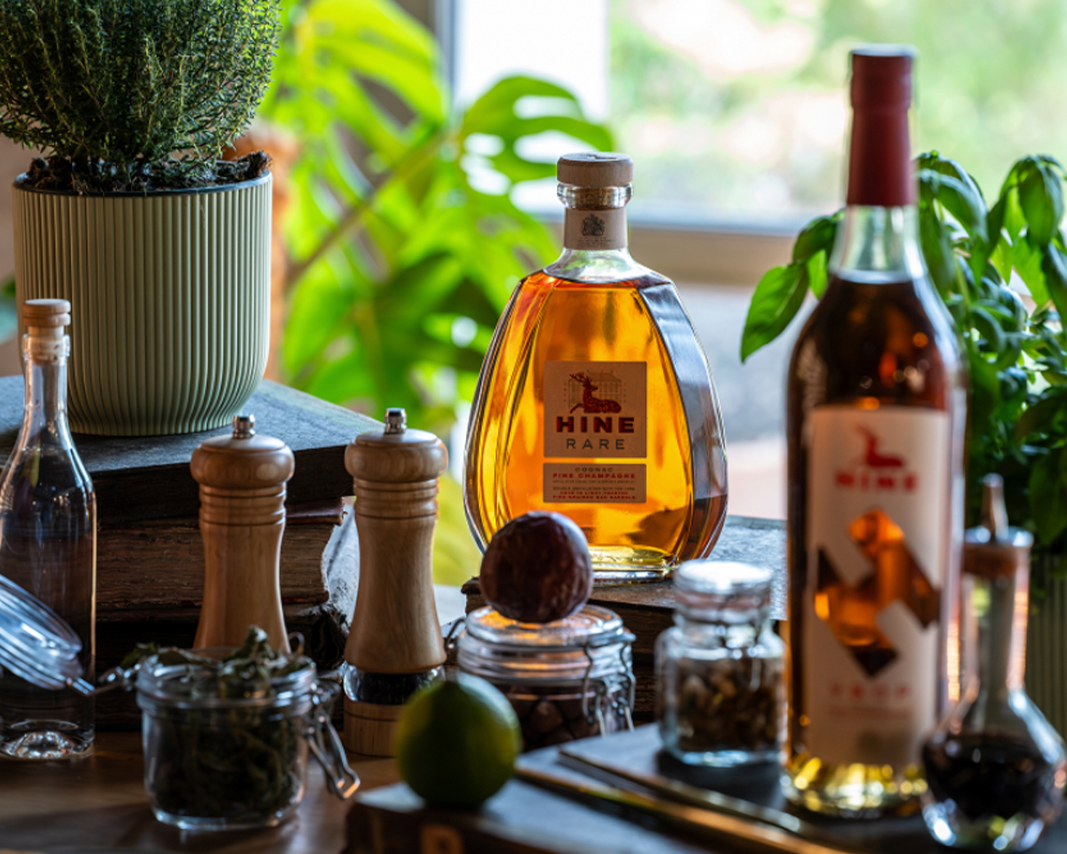 https://hine.com/en/hine-epicurious-center